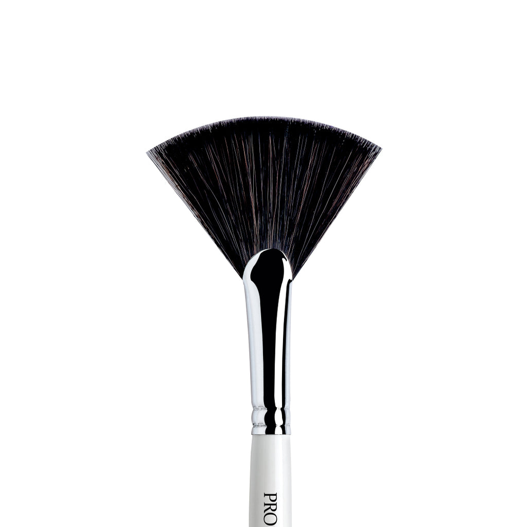 Large Fan Brush (No 0033)