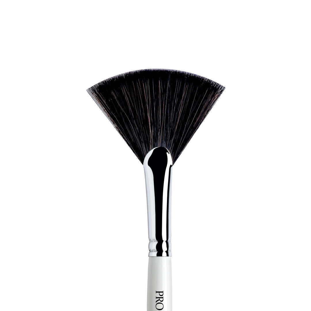 Large Fan Brush (No 0033)
