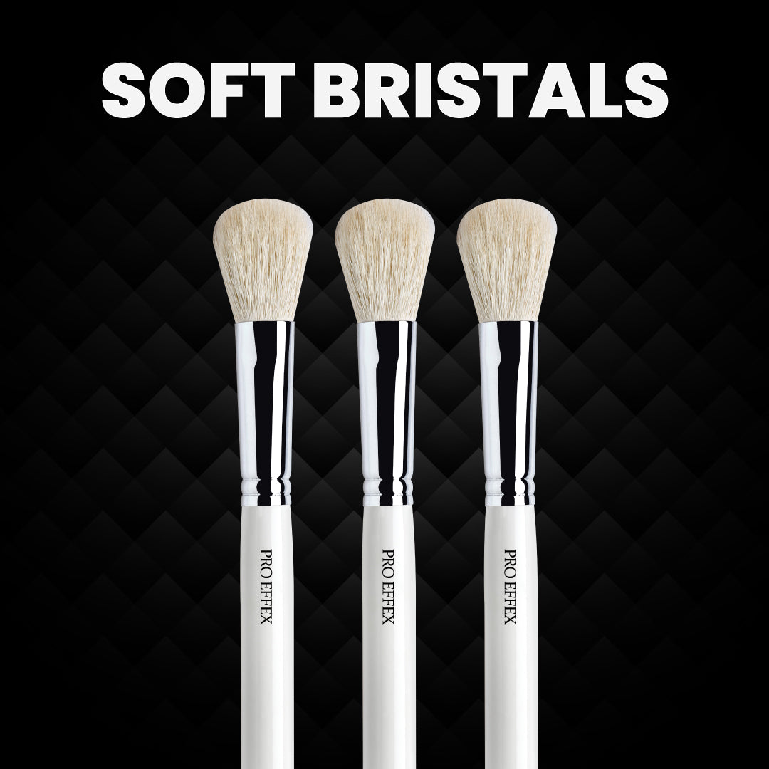 Blush Brush (No 0039)